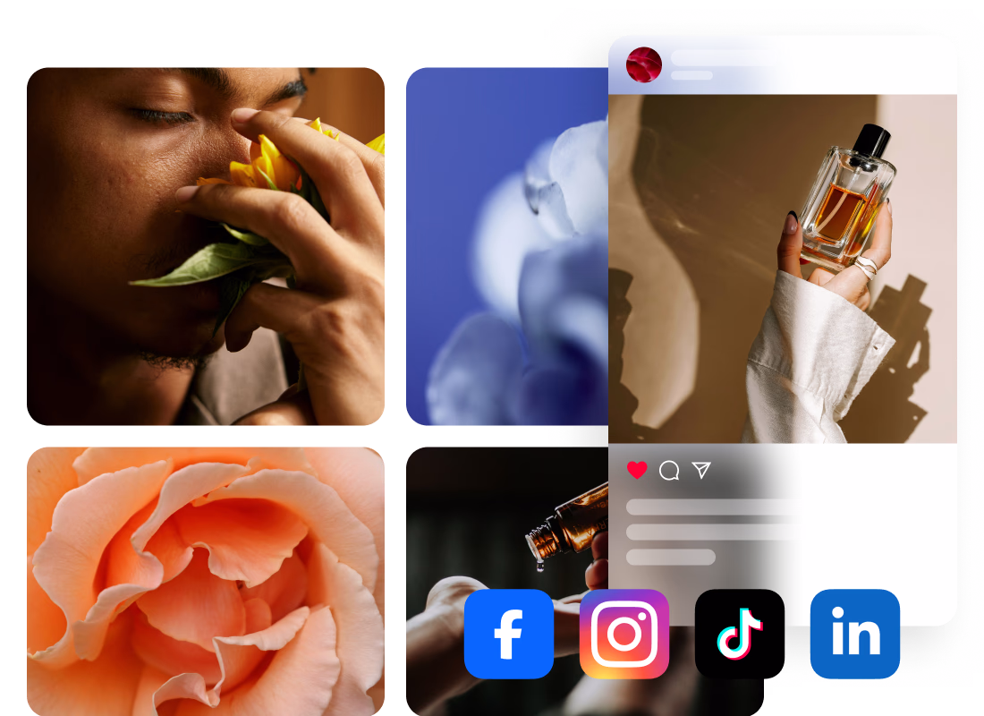 Instagram_web_ES